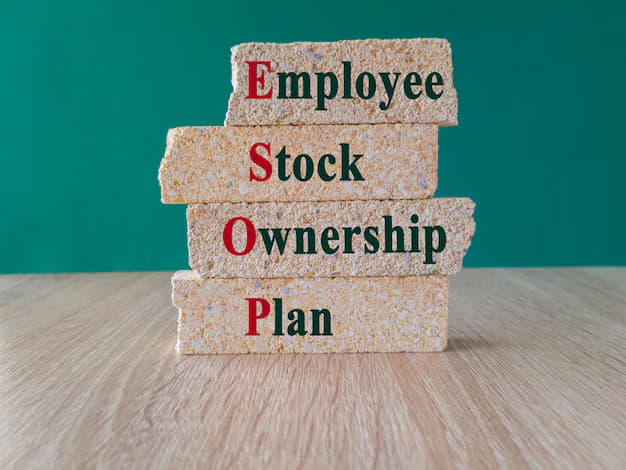 One Person Company